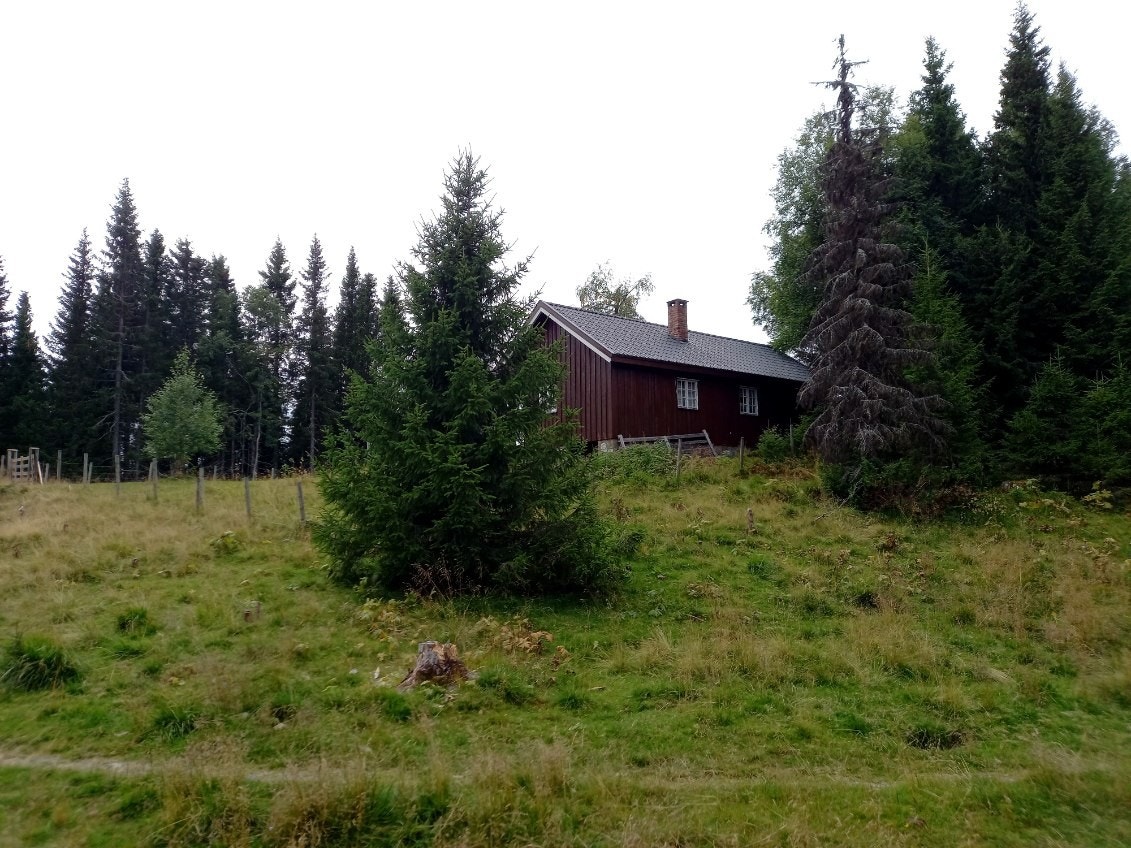 Privat bilde. Galleribilde
