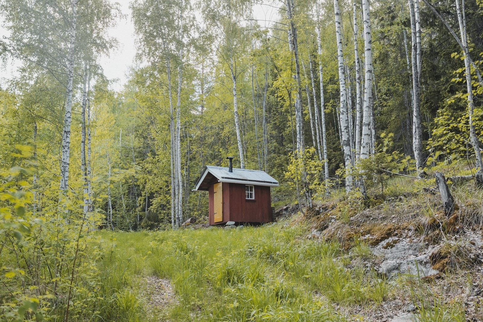 Koie, brukt som hvilebu under arbeid i skogen. Galleribilde