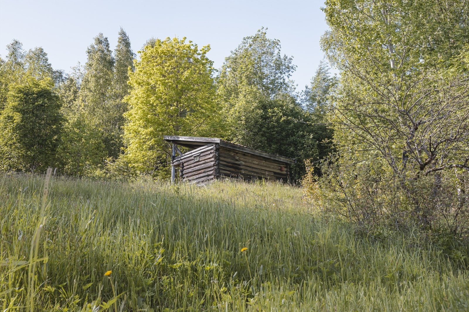 Her kan du sitte lent mot sommerfjøsets gamle tømmervegger, kjenne solen mot ansiktet, lytte til fuglesang og skue utover enga som dufter av sommer. Galleribilde