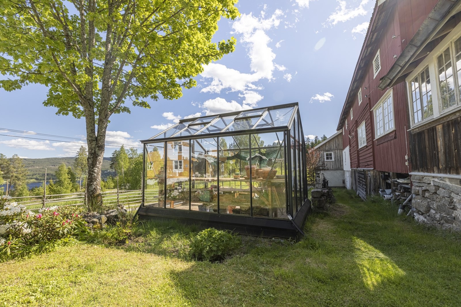 Drivhus. Galleribilde