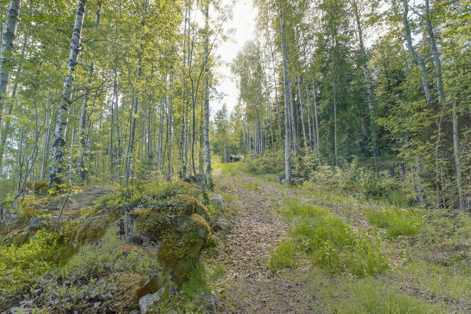 Flotte turmuligheter fra den unike eiendommen og videre innover sagnomsuste Veståsen! Galleribilde