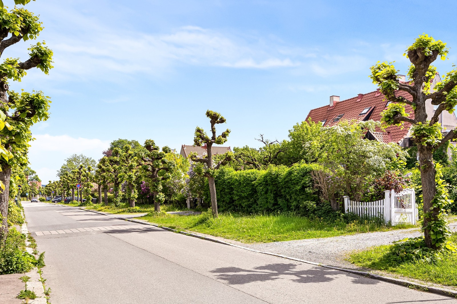 I John Colletts allé 7 bor man barnevennlig, idyllisk og fint til i Ullevål Hageby. Galleribilde