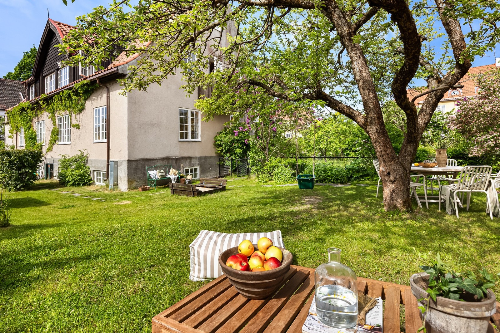 Hageparsell. Galleribilde