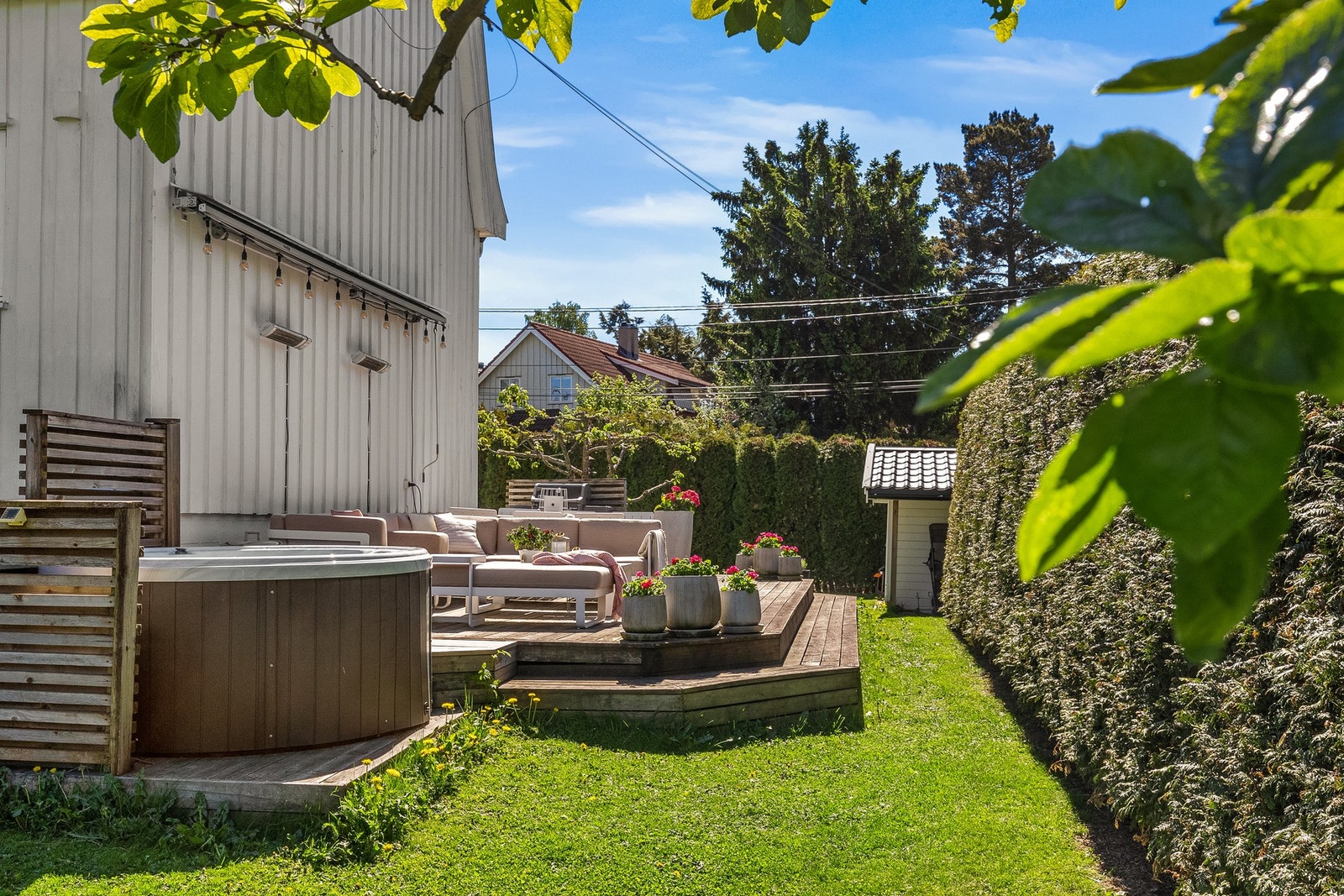 Hagen har rabarbraplanter, plommetre og epletre Galleribilde