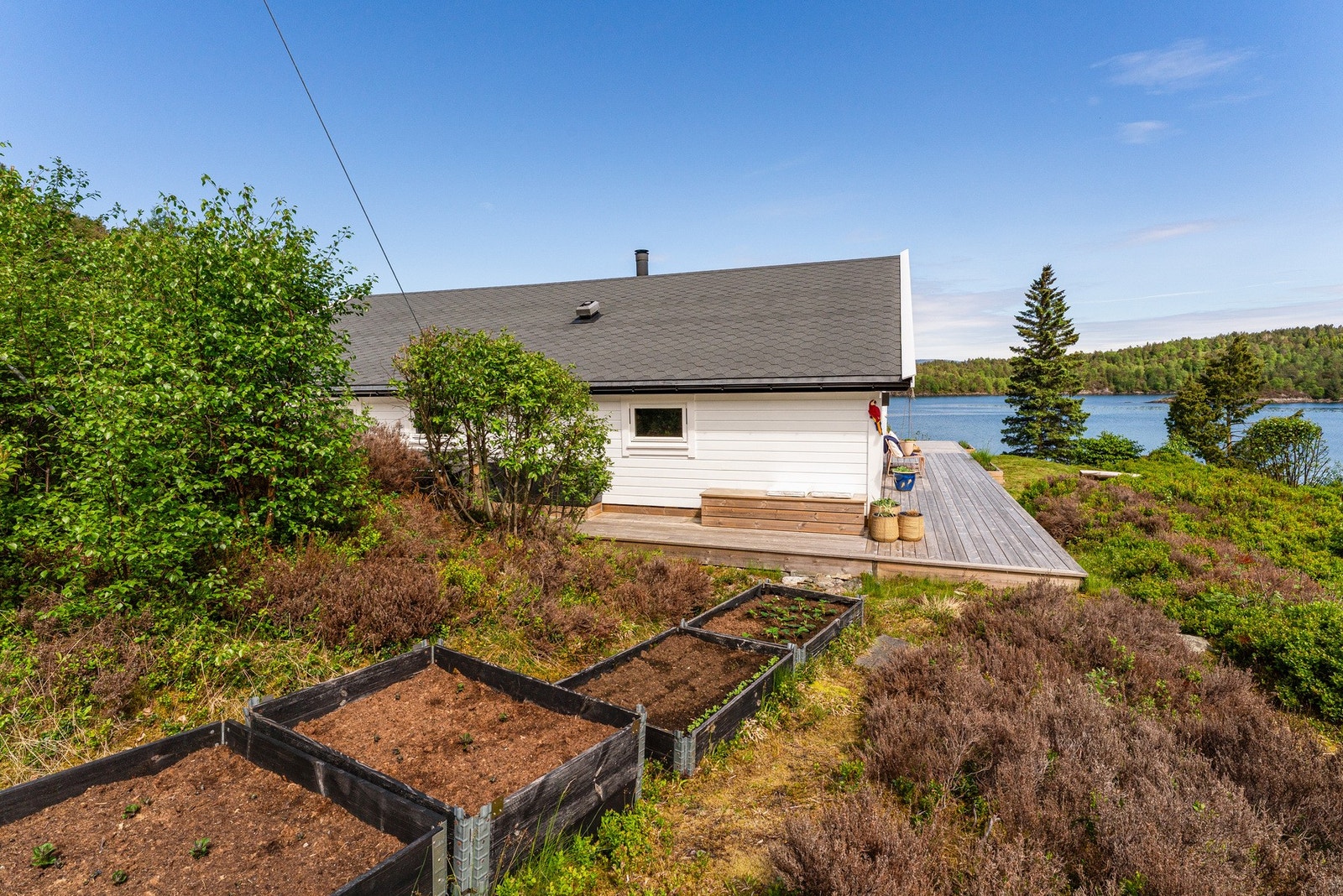 Store deler av tomten består av naturtomt. Plantekasser er etablert og gir mulighet for å dyrke egne grønnsaker Galleribilde