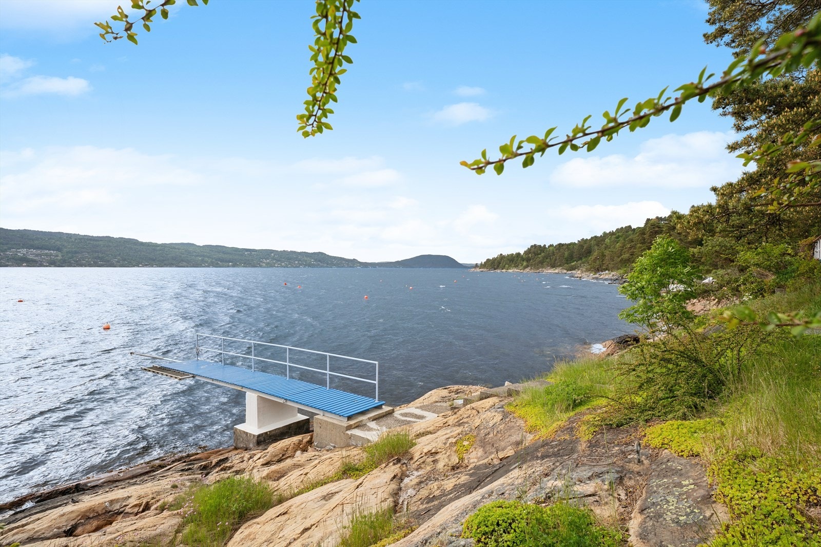 Egen brygge med stupebrett gir unike bademuligheter rett fra egen tomt. Galleribilde