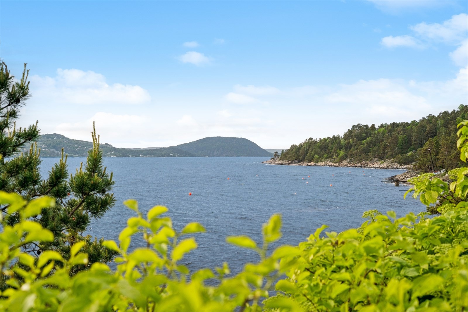 Utsikt over fjorden fra eiendommen. Galleribilde