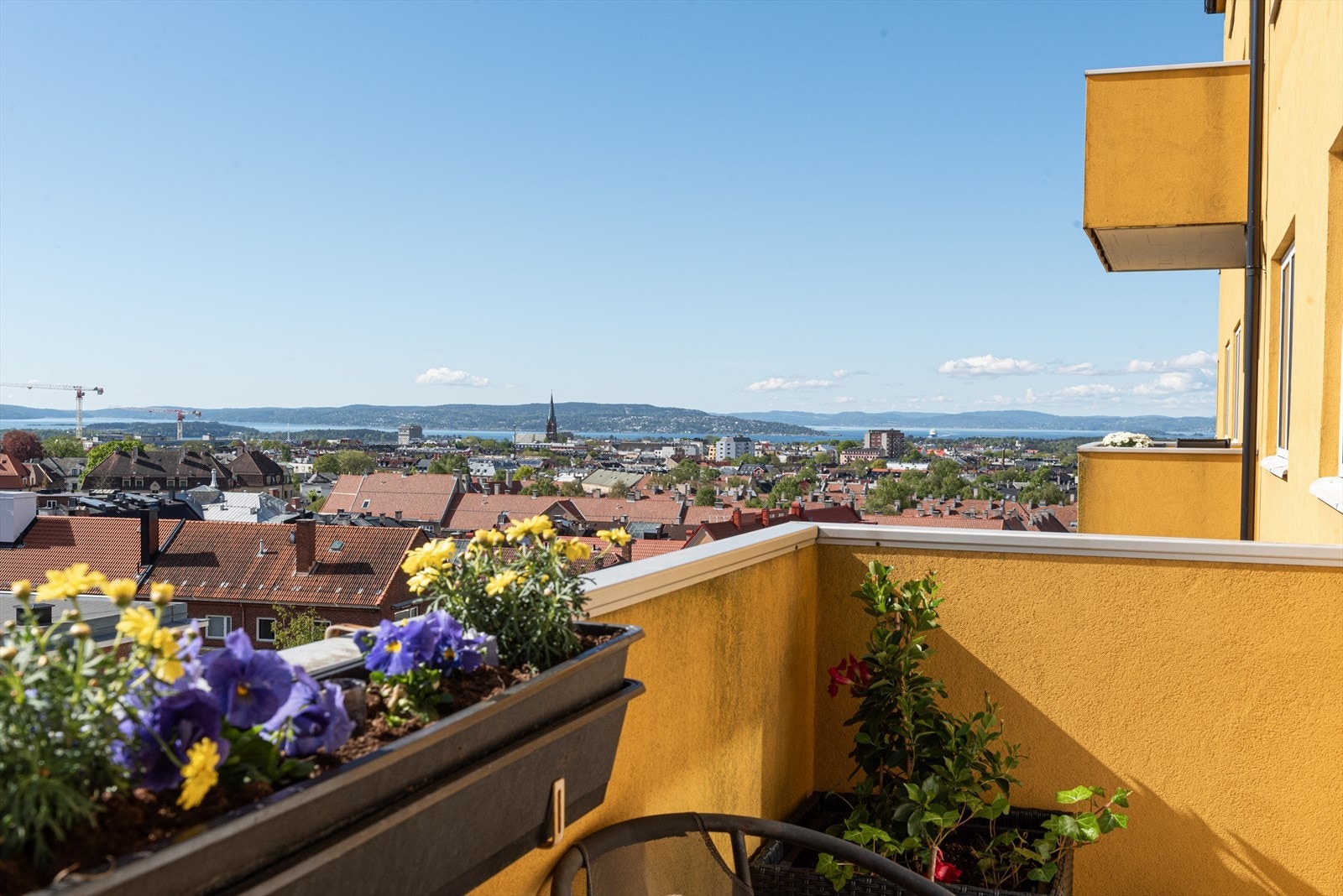 Velkommen til Blindernveien 2A - Presentert av Fredrik Buer Moe og Renate Finnanger Fløan v/Nordvik Majorstuen. Foto: Studio Oslo - Frantz Galleribilde