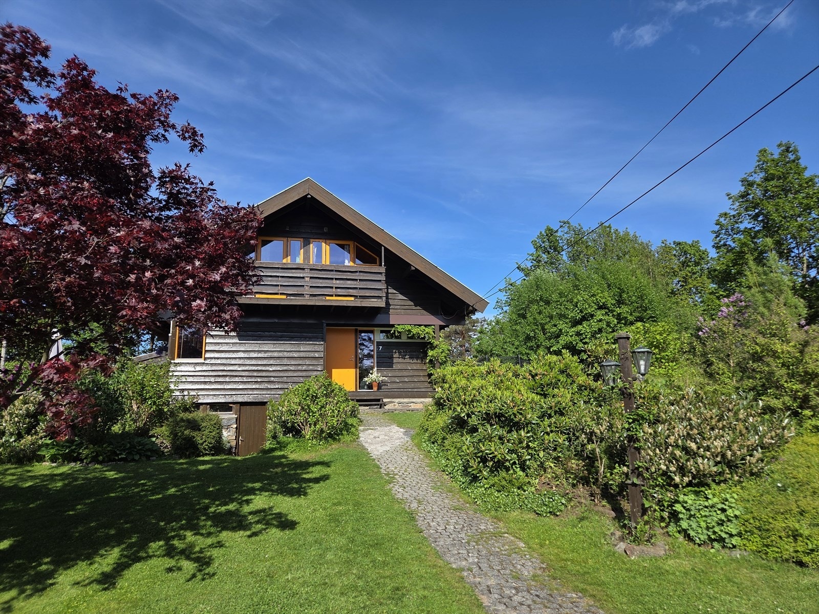Selgers private bilde. Galleribilde