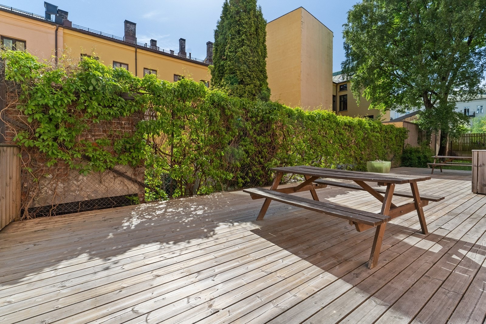 Felles bakgård for beboere. Galleribilde