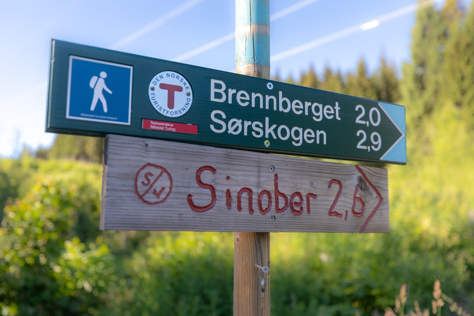 Kort vei til Lillomarka. Galleribilde