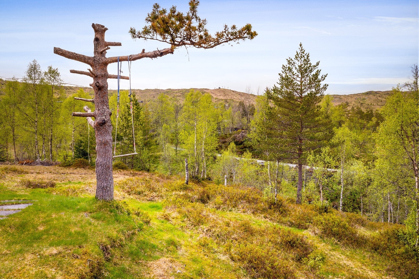 Stor naturtomt med god plass for lek og aktiviteter. Galleribilde
