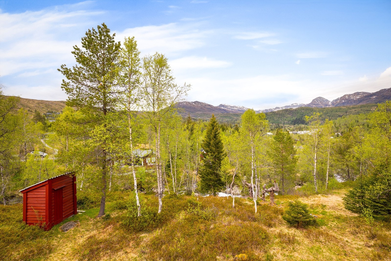Nyt utsikten mot fjellene fra egen tomt. Galleribilde
