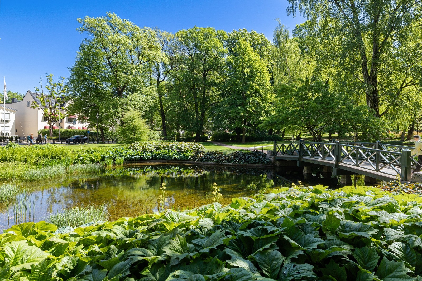 Slottsparken er din nærmeste nabo. Galleribilde