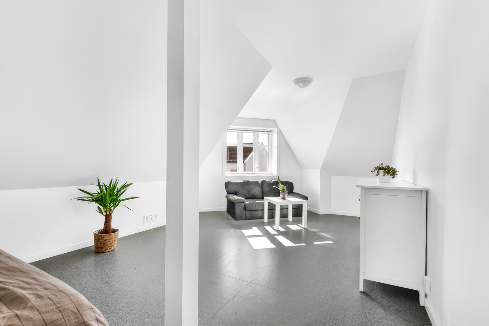 Leilighet 4: Romslige rom Galleribilde