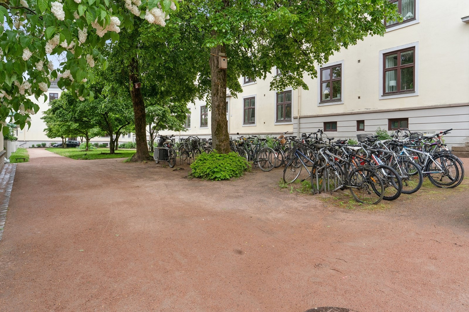 Borettslaget har velorganiserte fellesområder, inkludert rikelig med sykkelparkering i bakgården. Internett er for øvrig inkludert i felleskostnadene. Galleribilde