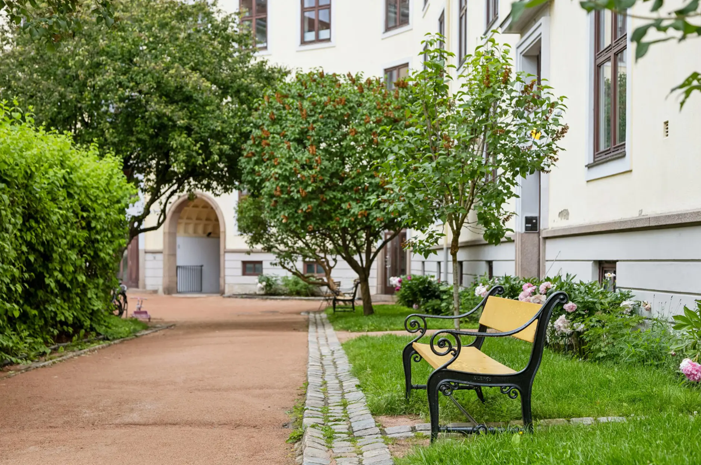 Bakgården. Galleribilde