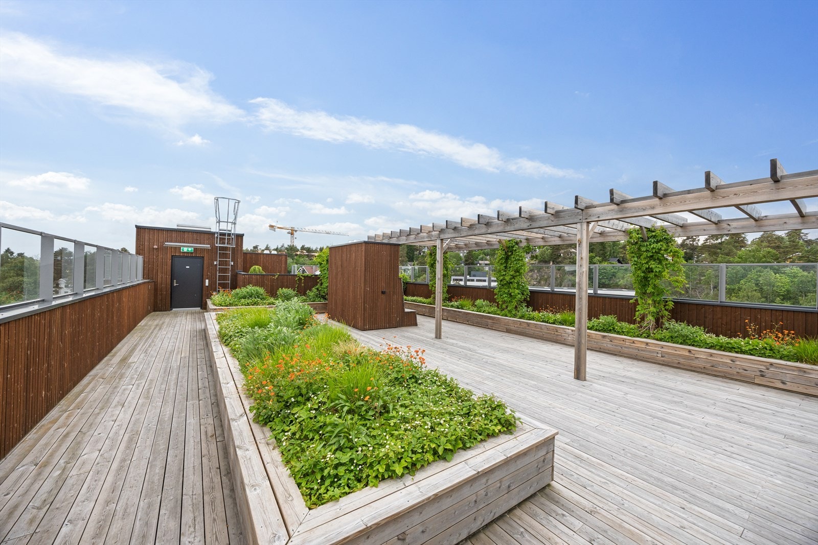 Felles takterrasse. Galleribilde