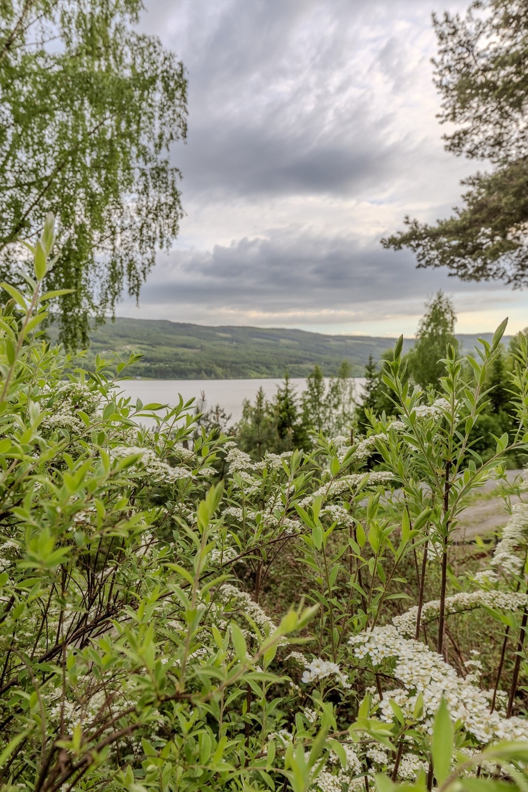 Eiendommen har en opparbeidet tomt på 946,5 m² med plen og beplantning samt gode utsiktsforhold. Galleribilde