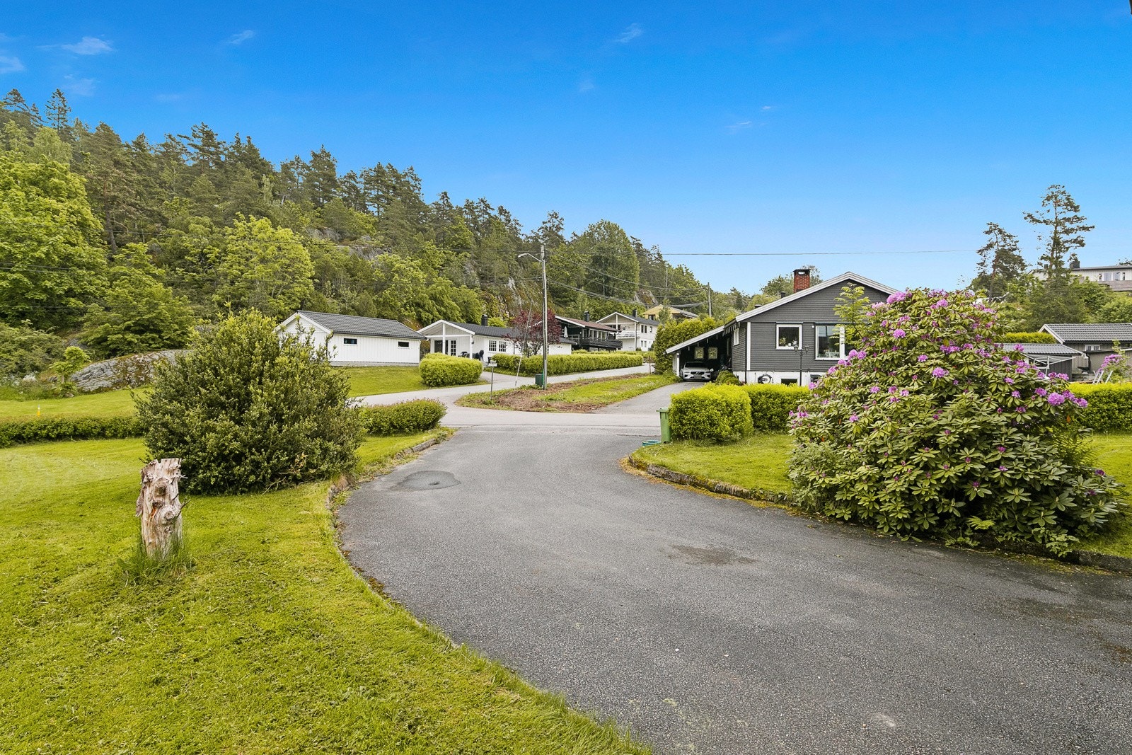 Asfaltert gårdsplass Galleribilde