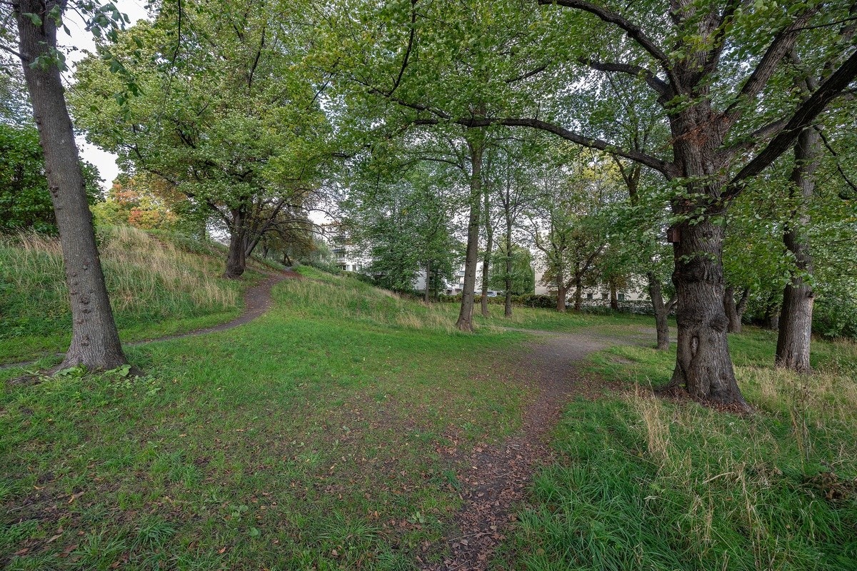 Park ved siden av leiligheten Galleribilde