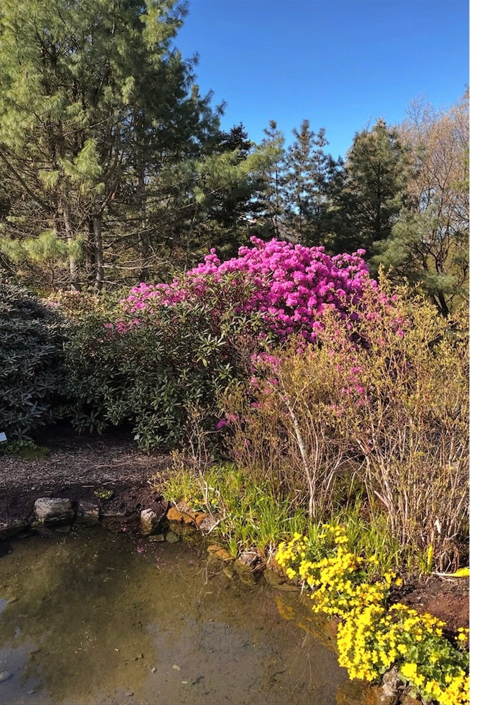 Nærområde (Botanisk hage) Galleribilde
