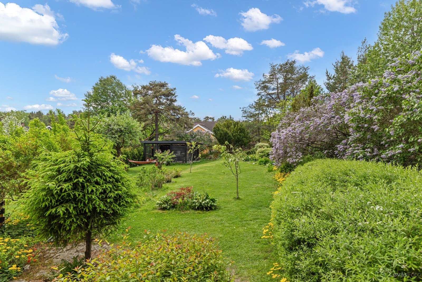 Hyggelig hage som gir rikelig med plass til lek og aktiviteter, enten det er trampoline, spill eller uformelt samvær. Beplantning med bla. syriner, frukttrær og blomsterbed gir et frodig uttrykk gjennom sesongen. Foto: John Løvås Galleribilde