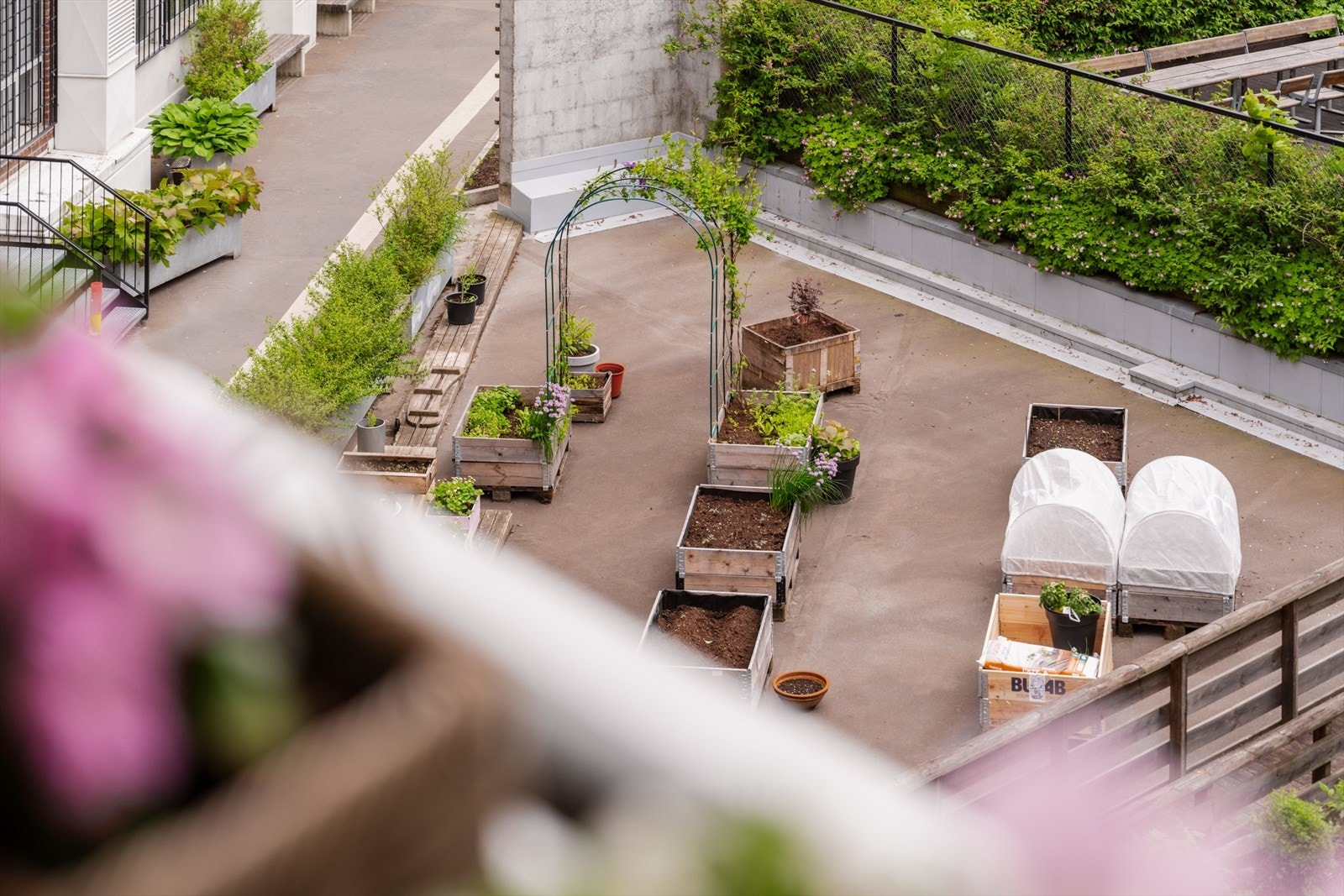 I tillegg til takterrassene har sameiet tilgang til bakgård. Galleribilde