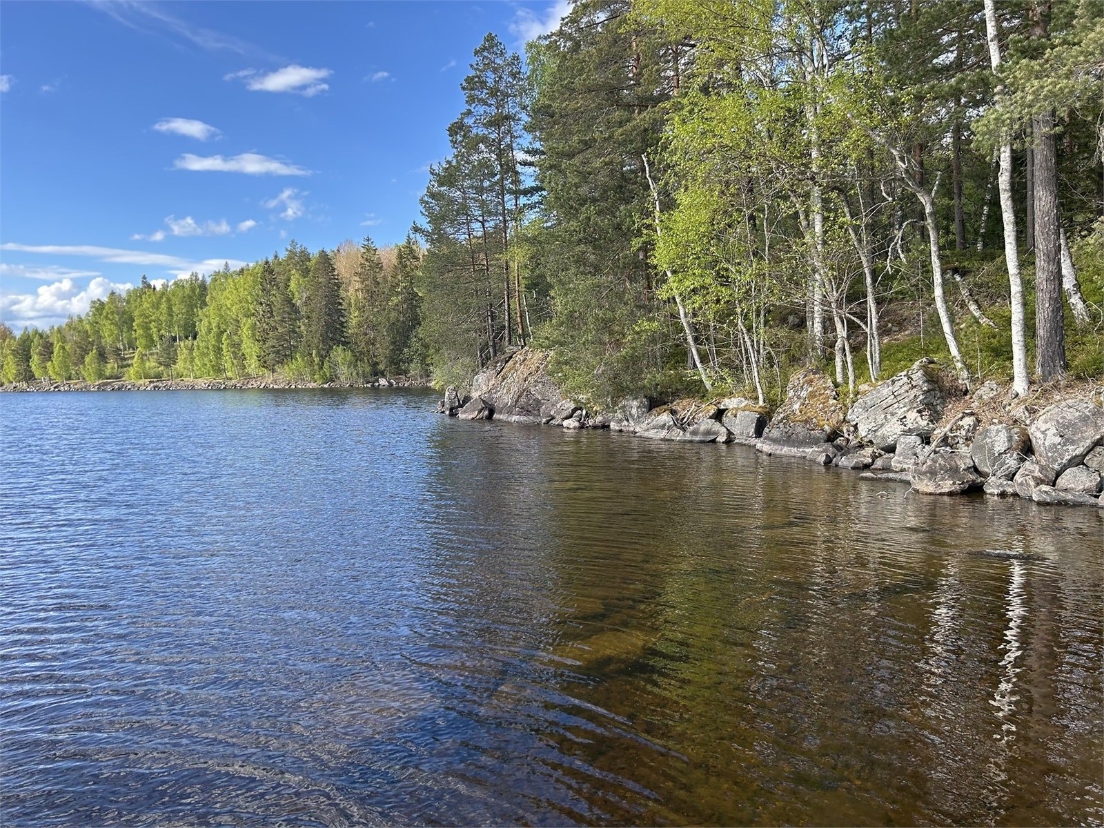 Säljarens egna bild Galleribilde
