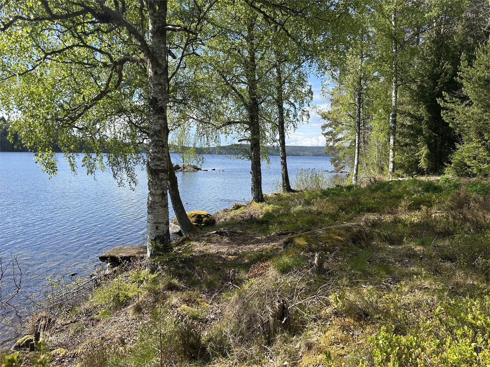 Säljarens egna bild Galleribilde