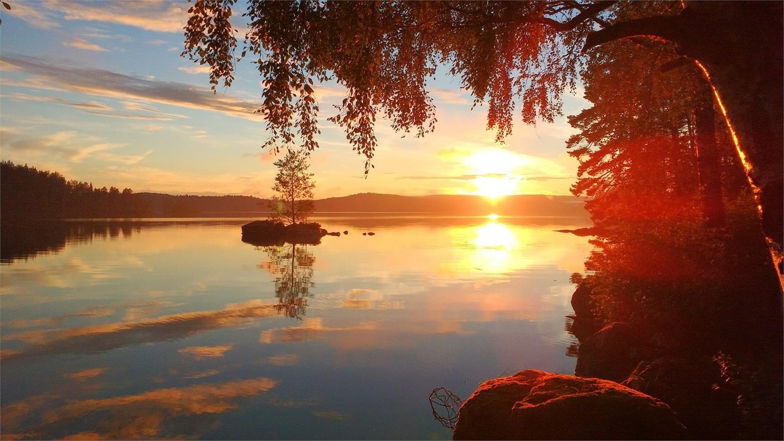Säljarens egna bild Galleribilde