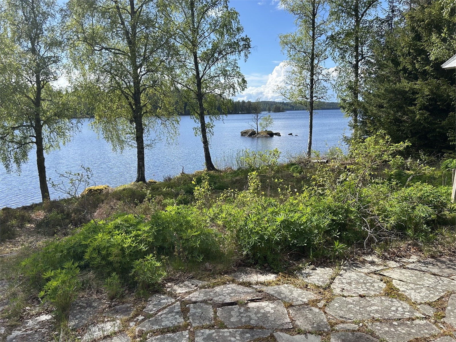 Säljarens egna bild Galleribilde