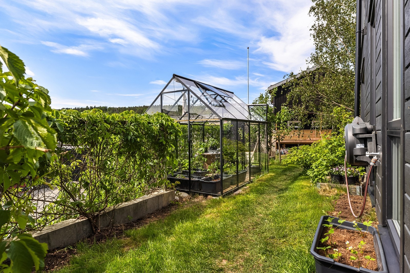 Hageflekk med beplantning som skjermer og skaper en lun atmosfære rundt eiendommen. Galleribilde