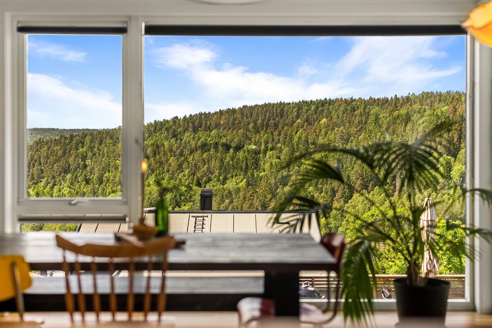 Utsikt mot Pollevannet, friområder og flott natur! Galleribilde