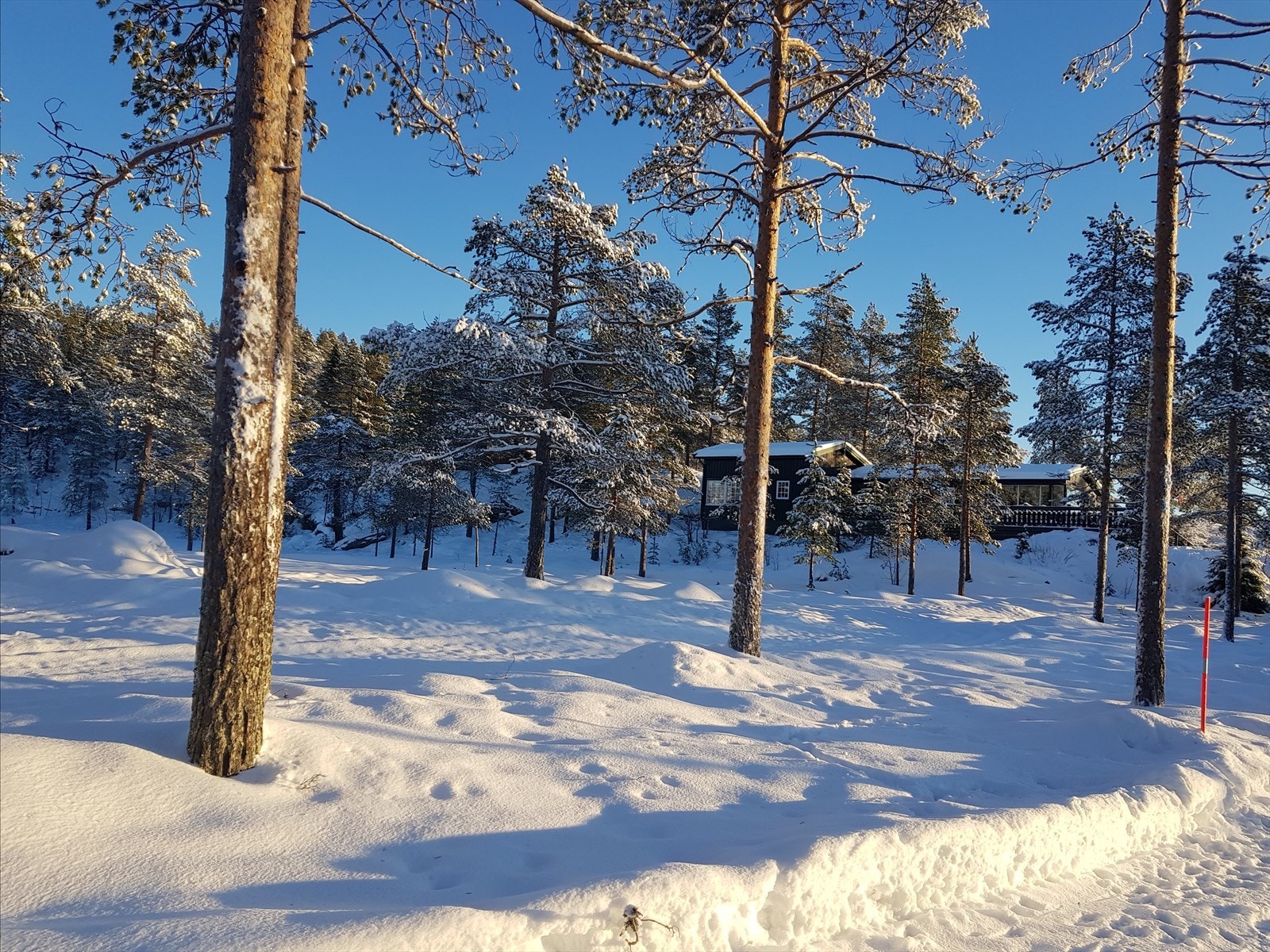 Selgers bilde av vinteridyll Galleribilde