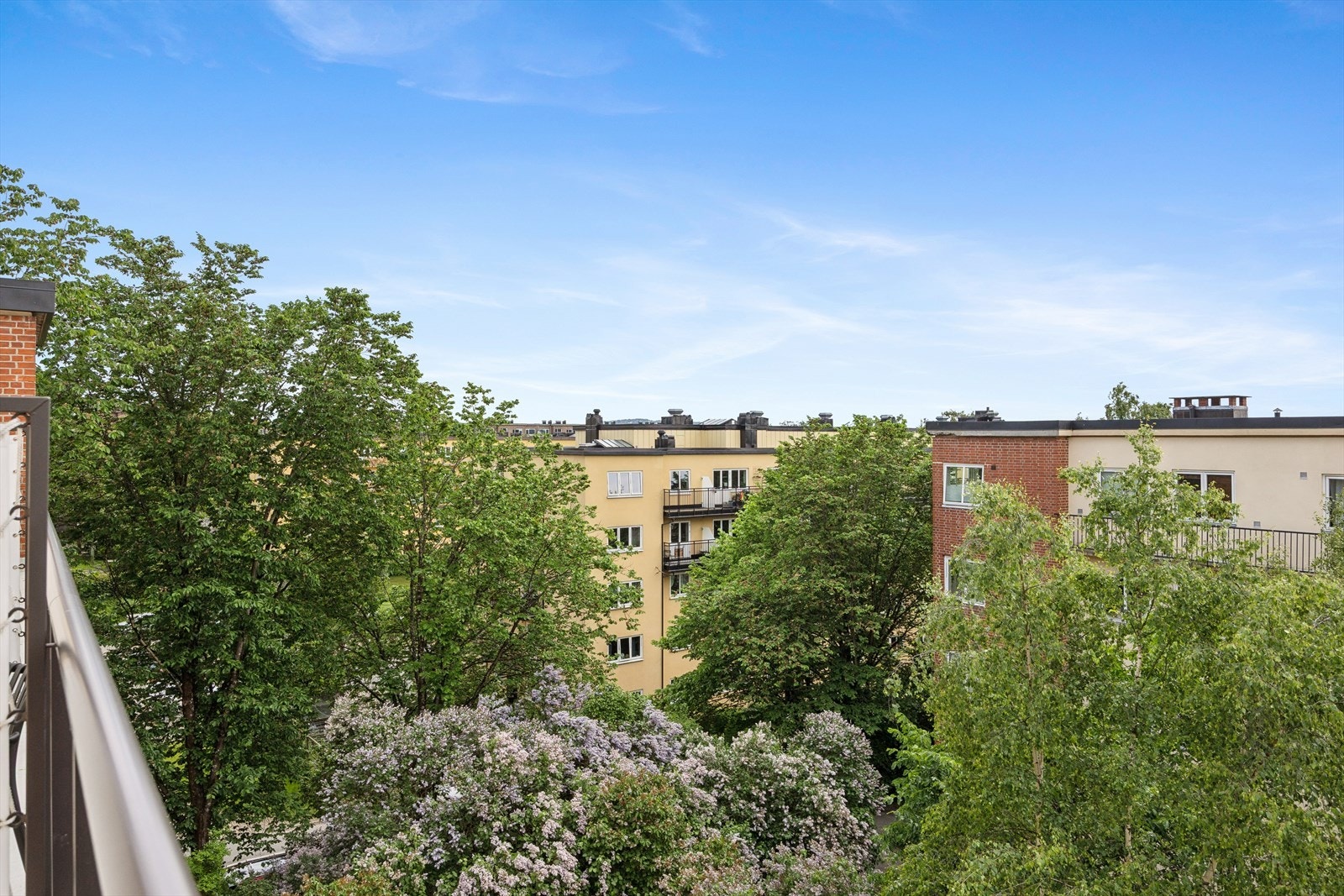 Utsikt fra balkongen. Galleribilde