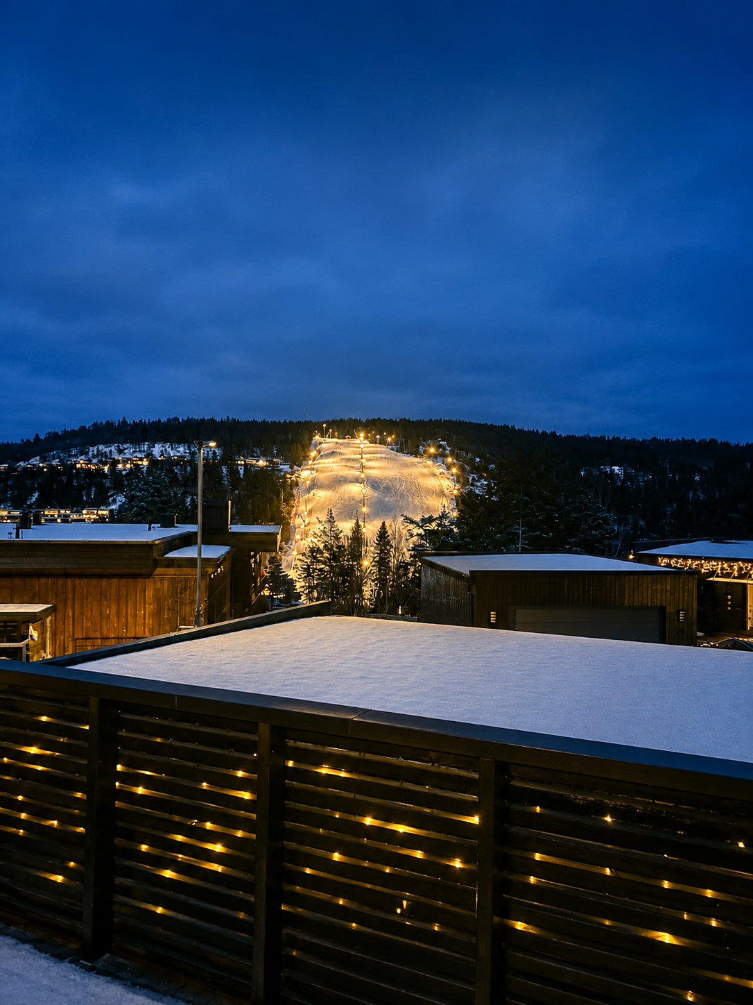 Utsyn mot Ingierkollen vinterstid (selgers bilde) Galleribilde