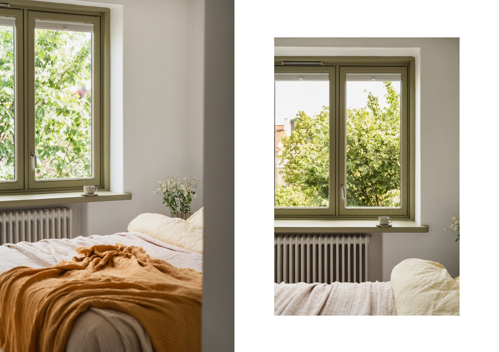 Store vindusflater slipper inn morgensolen. Galleribilde