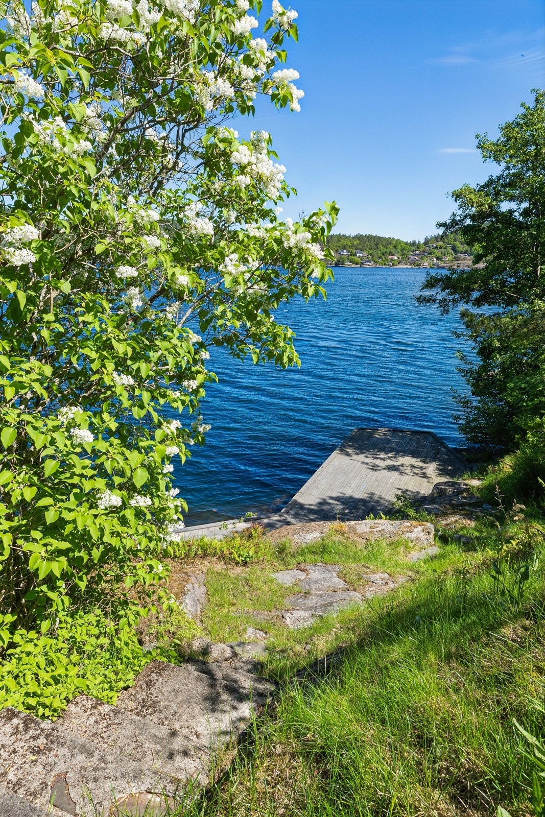 Sti fra hytta til brygga på egen tomt - tomten er terrassert ned fra hytta til bryggeanlegget Galleribilde
