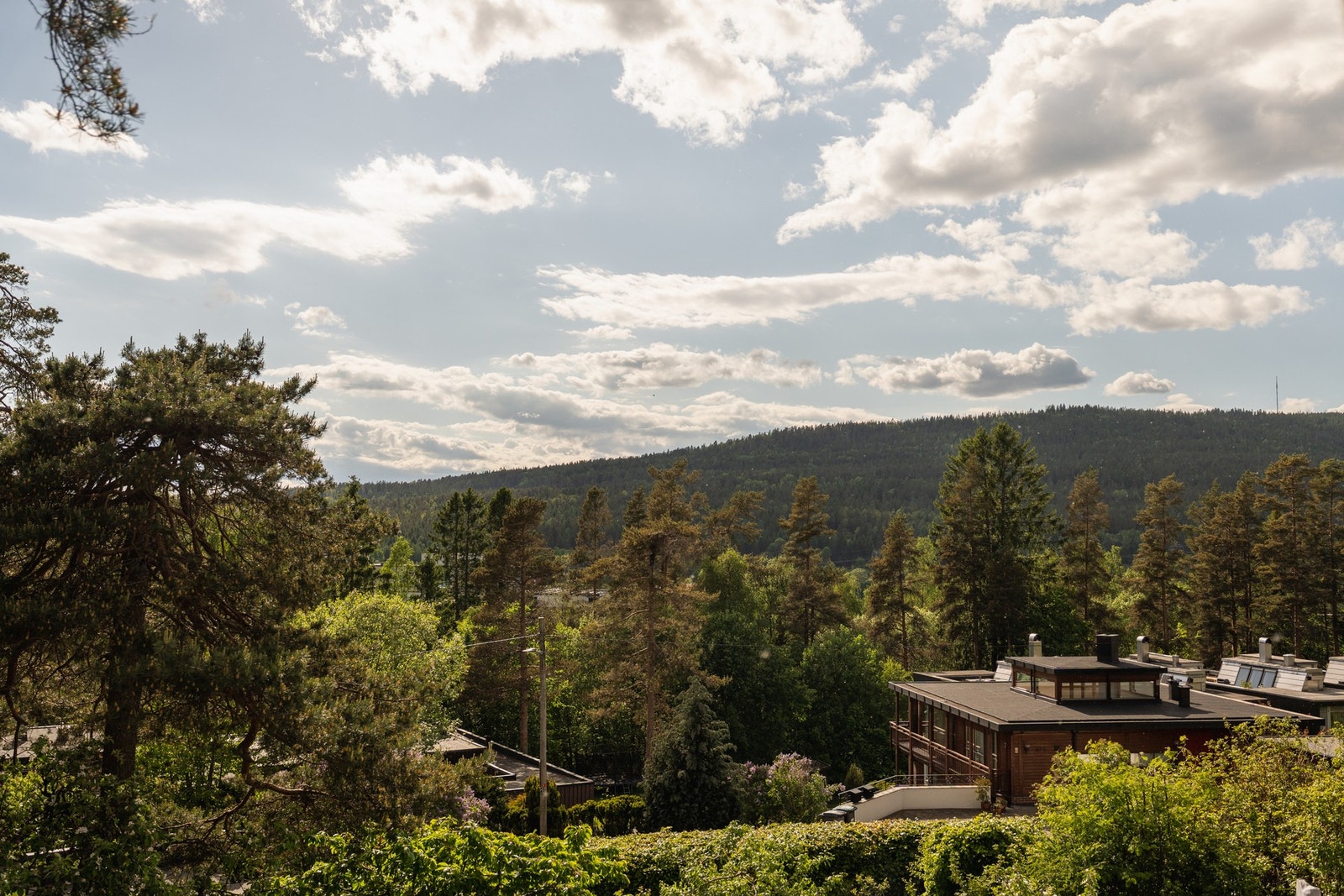 Fra eiendommen er det utsikt mot Vettakollen og de grønne omgivelsene Galleribilde