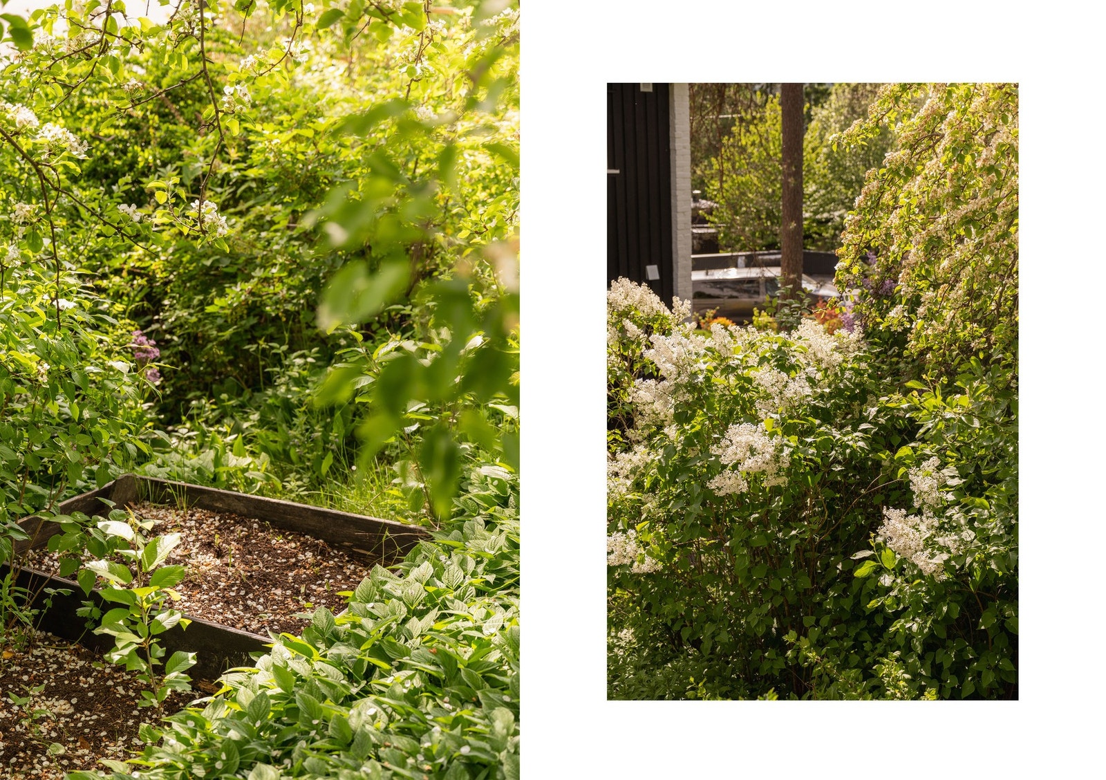 Detaljer fra hagen, som byr på både beplantning og rom for egne prosjekter. Galleribilde