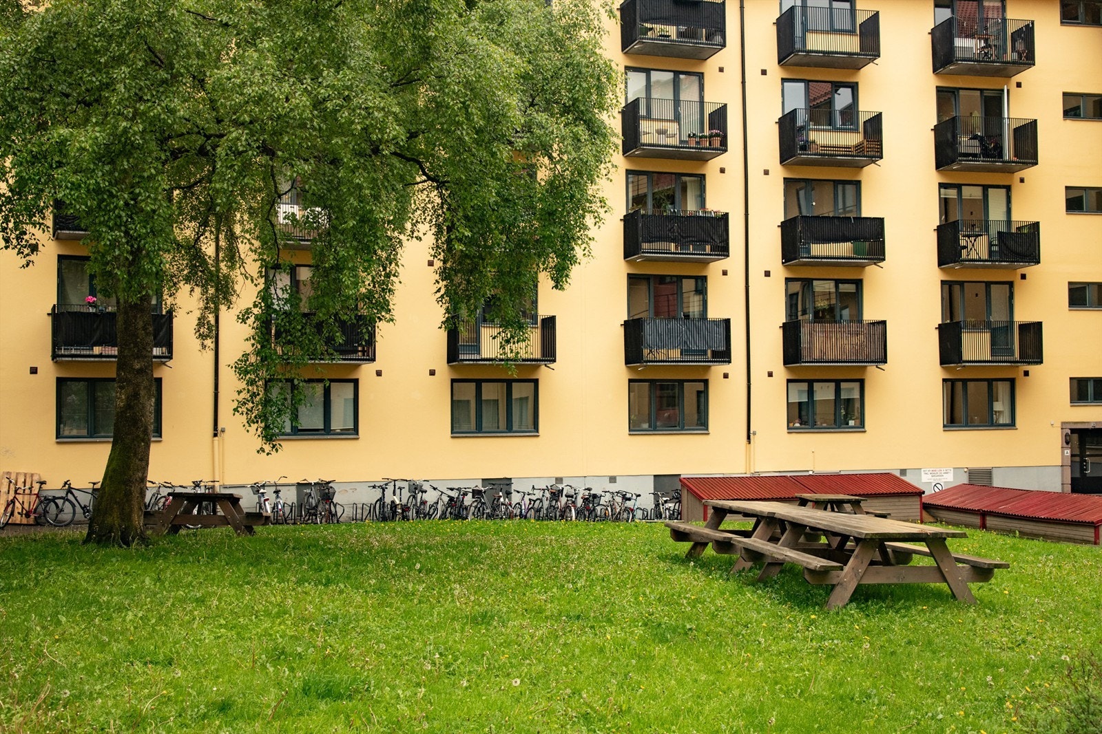 Romslig bakgård i borettslaget med store grønne trær og sykkelparkering. Inngangen til oppgangen er i bakgården. Galleribilde