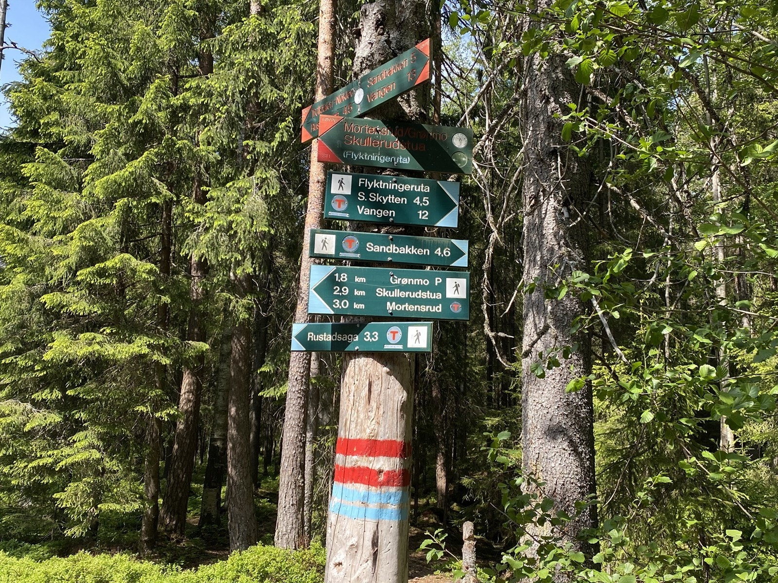 Umiddelbar nærhet til Østmarka som byr på flotte turområder både sommer- og vinterstid. Stier, lysløyper og turveier som er fine til turgåing, sykling og løping. Om vinteren blir det kjørt opp skispor i lysløypene. Galleribilde