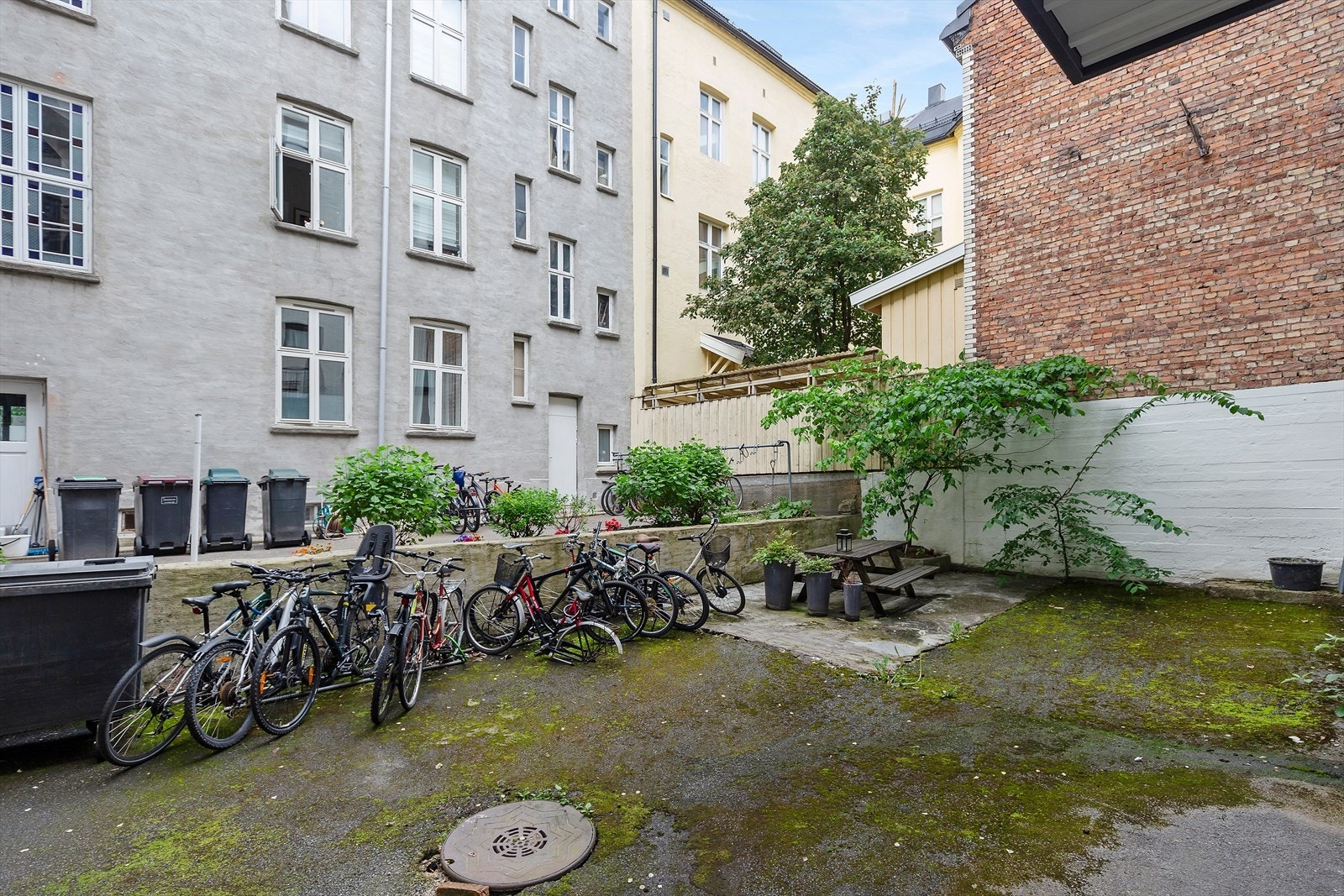 Gårdsrommet har sykkelparkering og et hyggelig preg mellom bygårdene Galleribilde