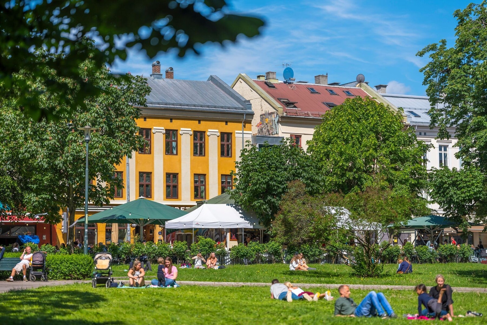 Det er flere grøntarealer og rekreasjonsmuligheter i umiddelbar nærhet. Galleribilde