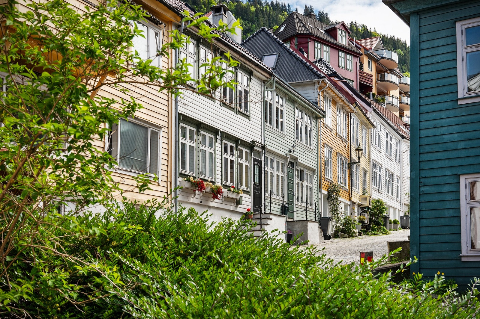 Velkommen til Nedre Stølen 17, rett bak Bryggen! Galleribilde