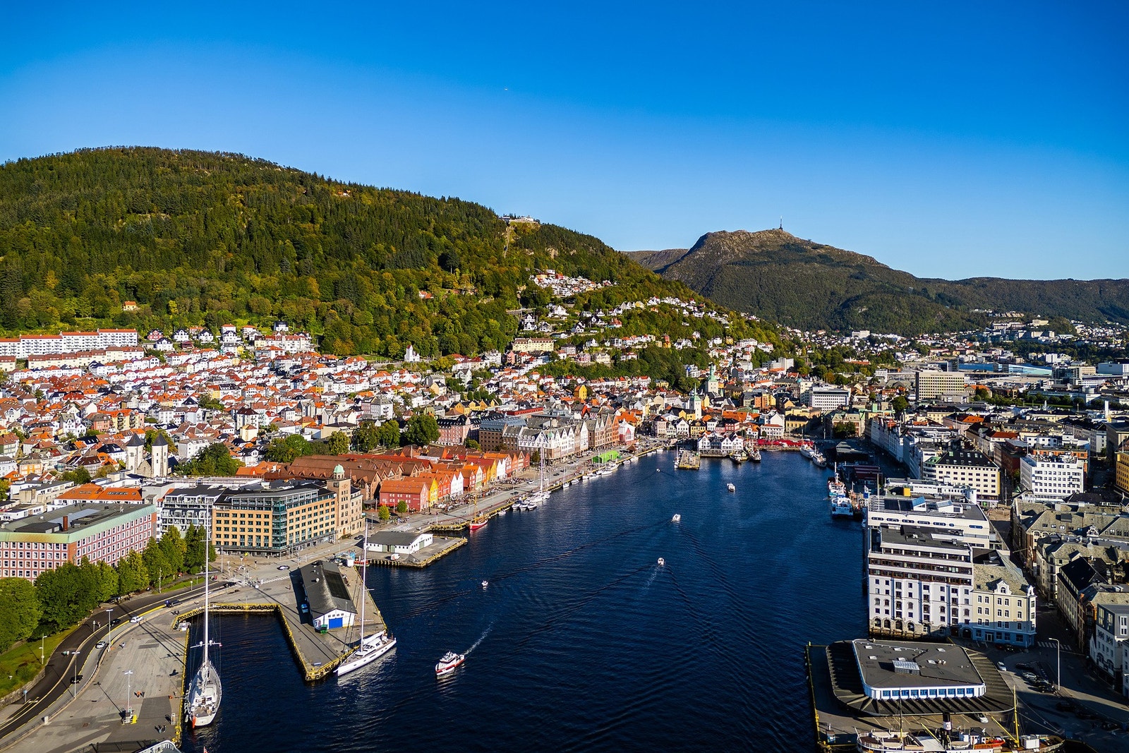 Husk å melde deg på visning! Galleribilde