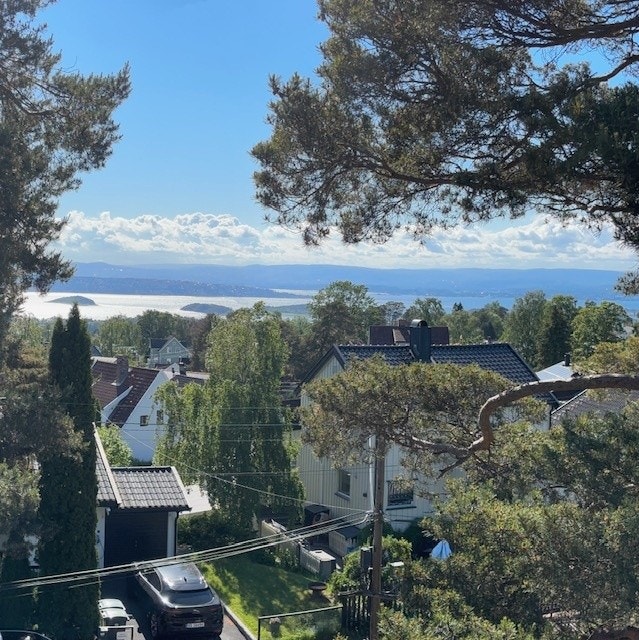 Utsikt terrasse tak Galleribilde