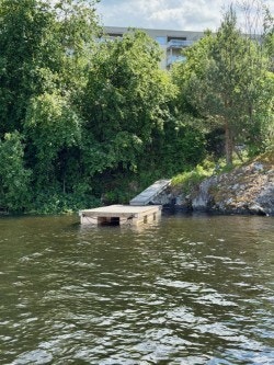 Bryggeplass Galleribilde