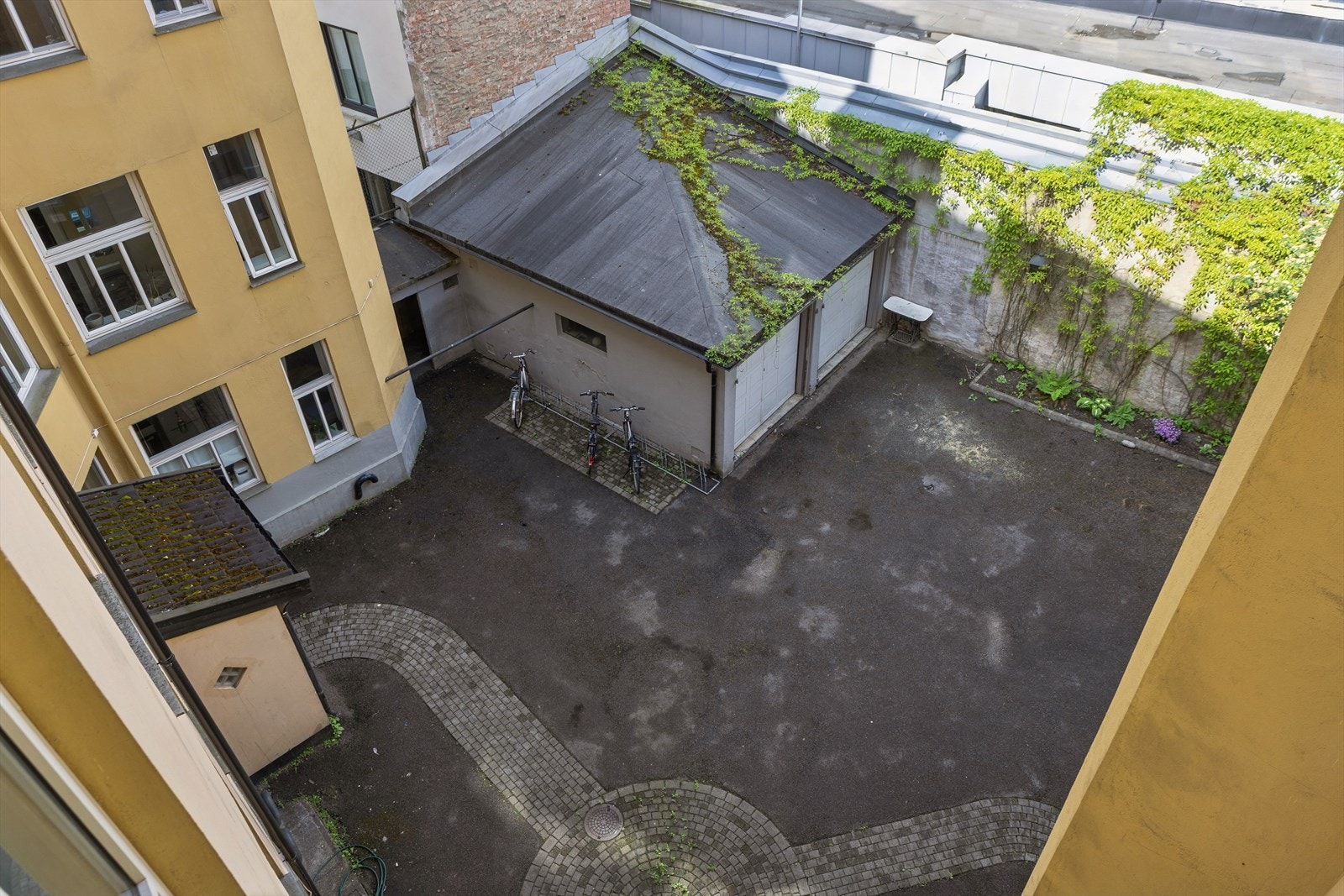 Bakgård sett fra kjøkkenet. Galleribilde